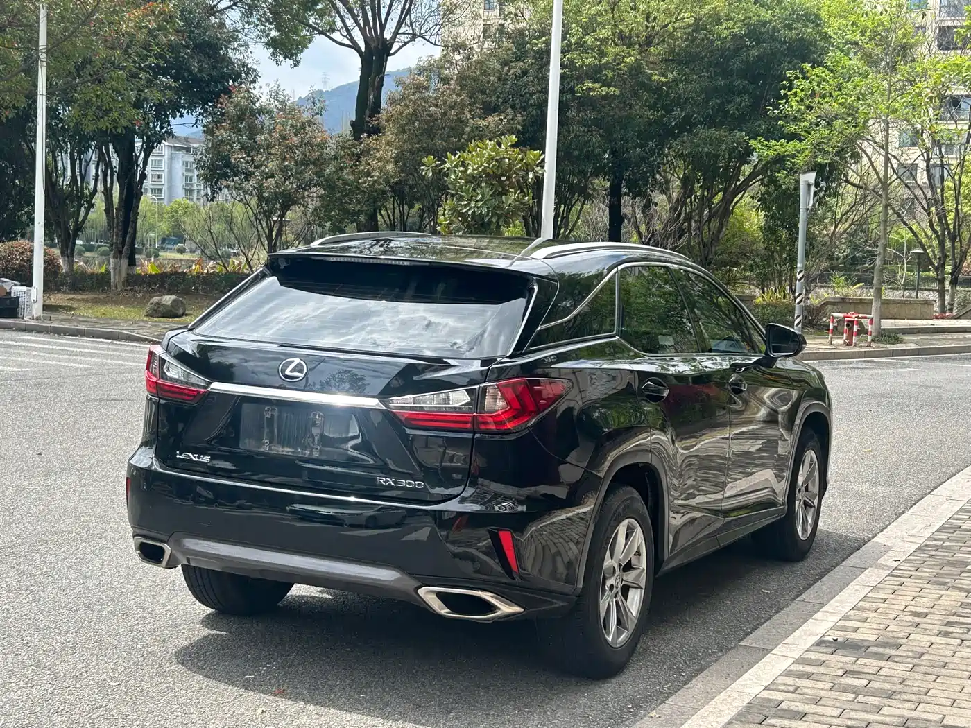 LEXUS RX