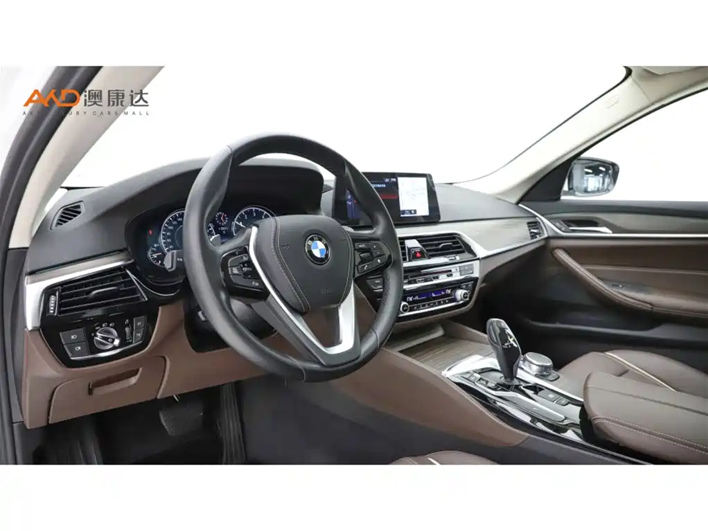 BMW 5 Series 2018 Facelift 530Li Leading Luxury Package фото 6