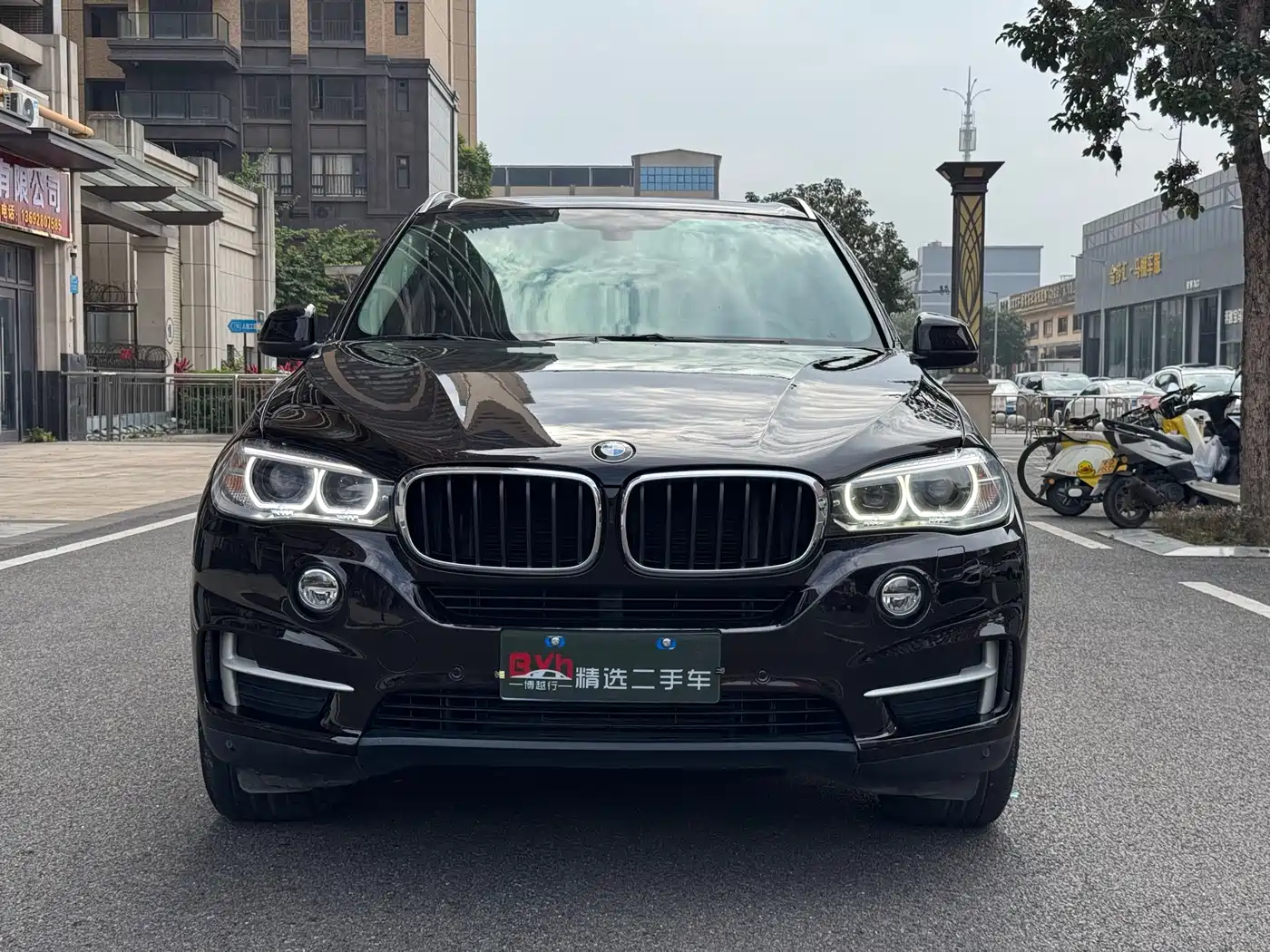 BMW X5 (Import) 2014 xDrive35i Elegance фото 2