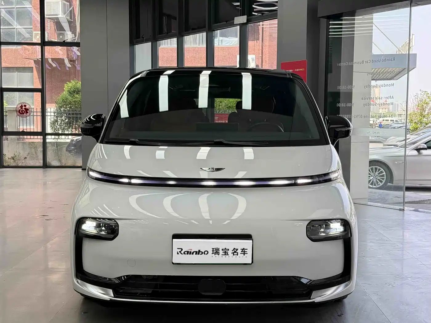 GEELY GALAXY WING TRUE L380