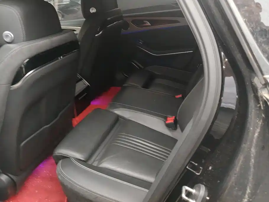 Photo 11 - Hongqi H9
