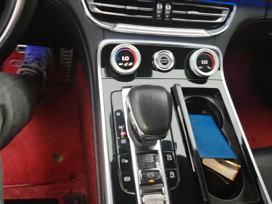 Photo 16 - Hongqi H9