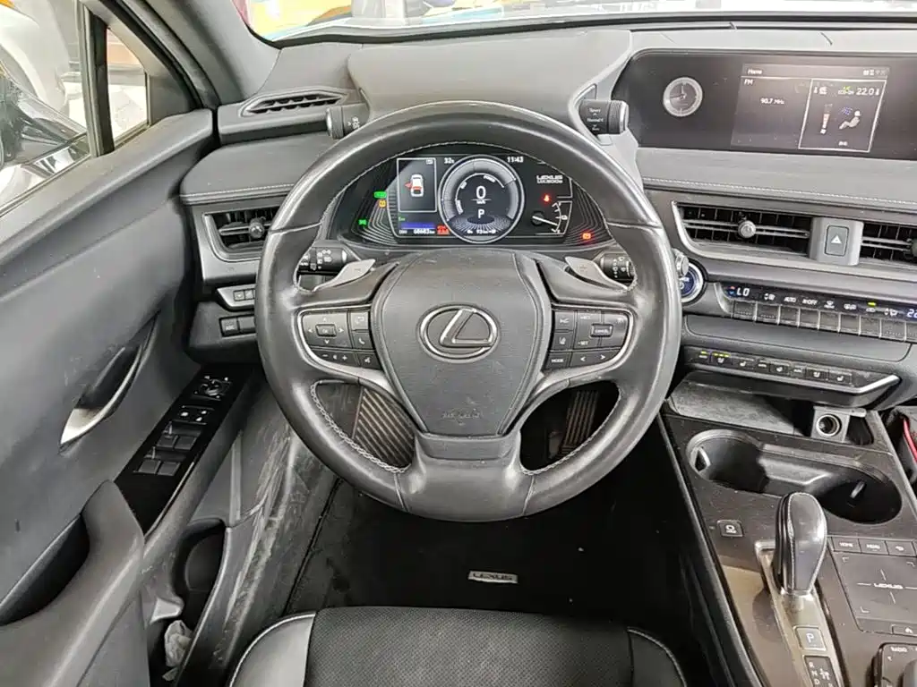Lexus UX Electric 2021 2020 300e Pure Yue Edition