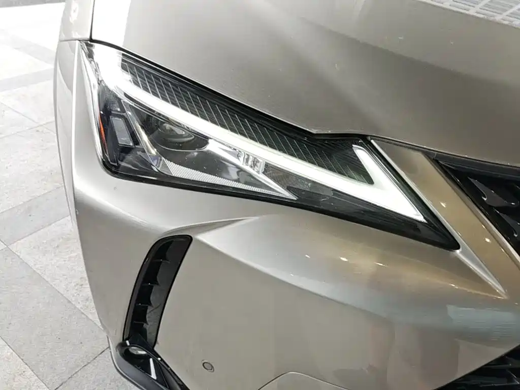 Lexus UX Electric 2021 2020 300e Pure Yue Edition