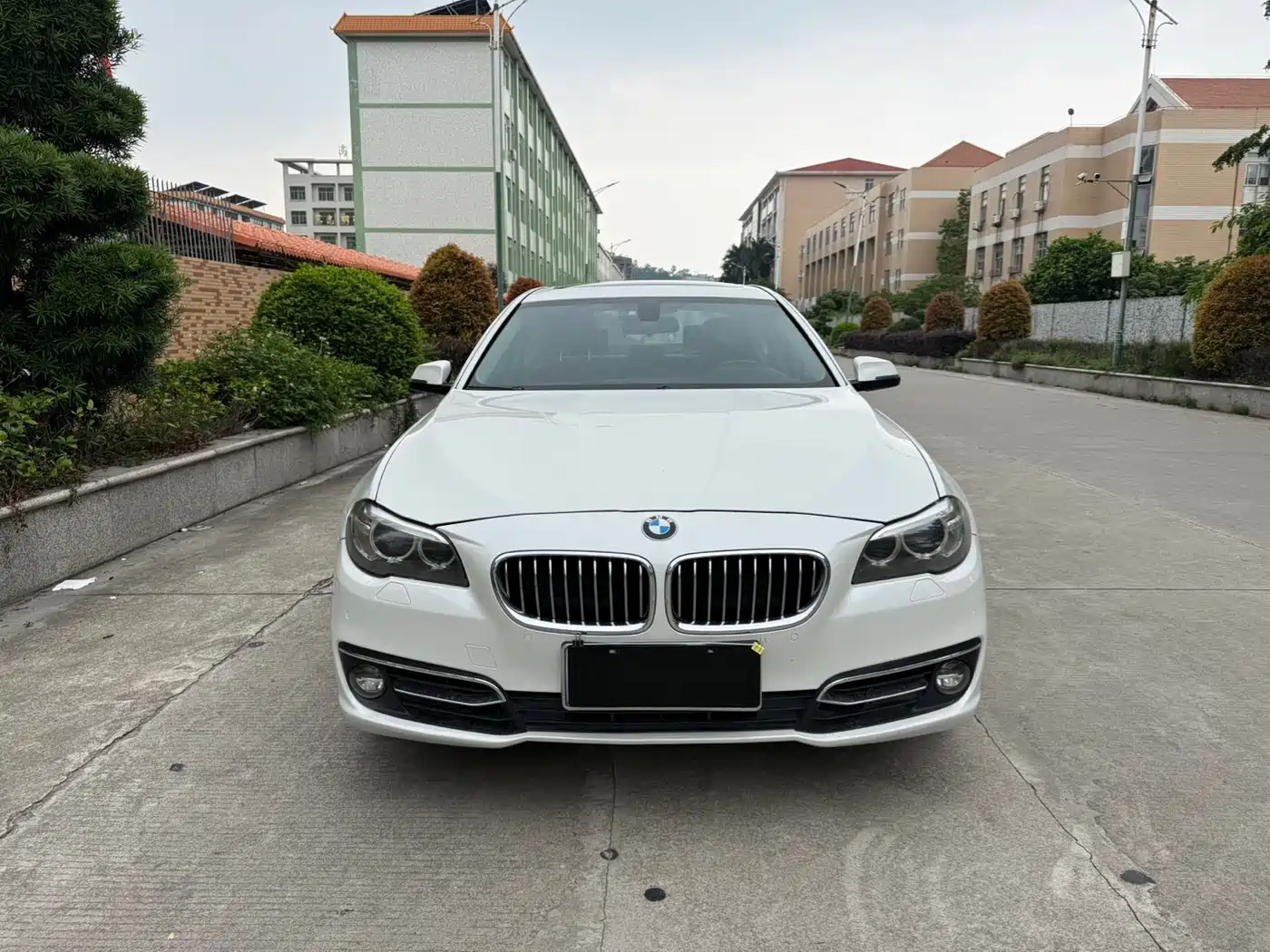 BMW 5 Series 2014 525Li Luxury Design Package фото 2