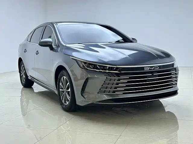 Фото 3 - BYD Destroyer 05
