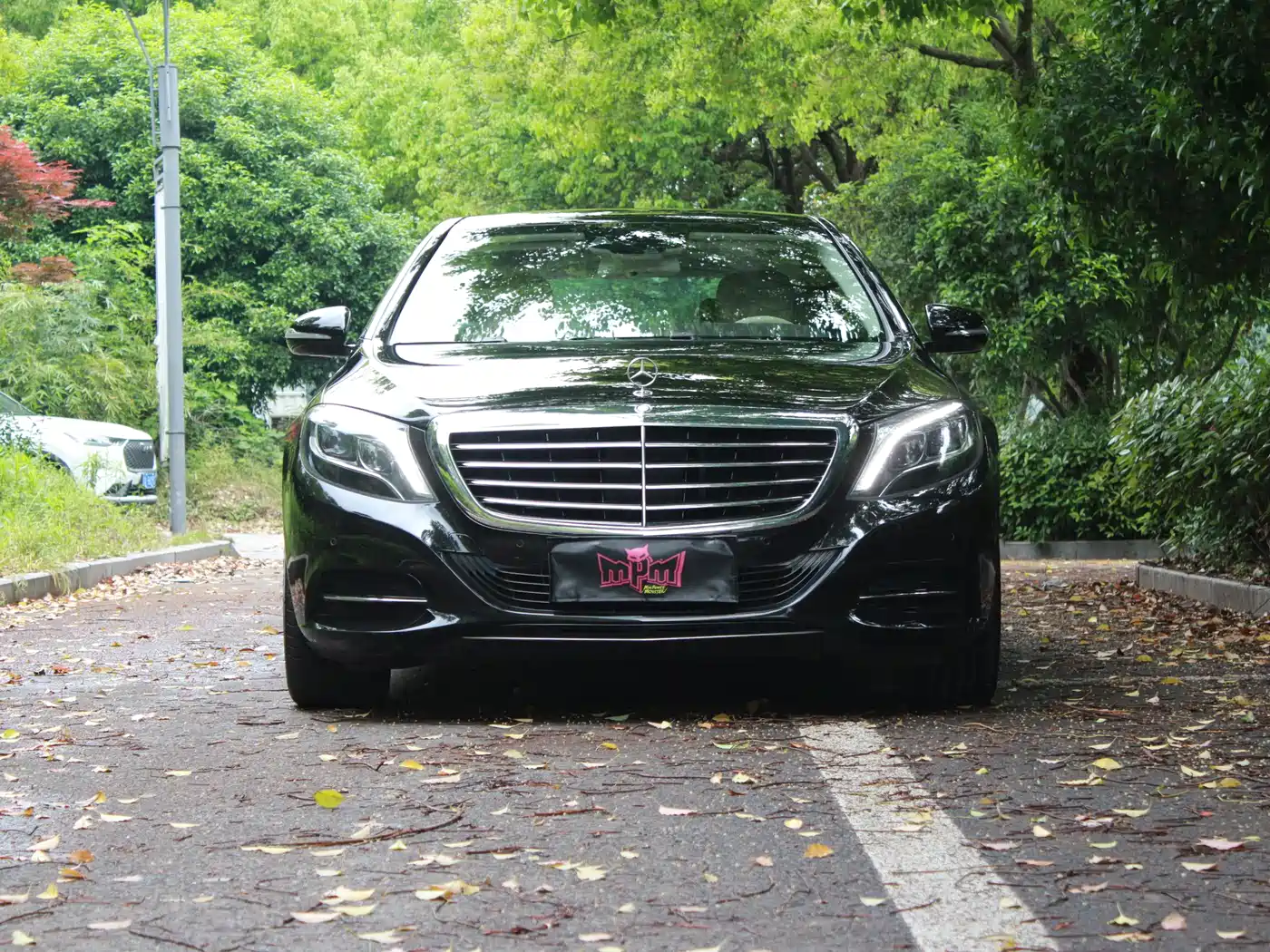 Mercedes-Benz S-Class 2014 S 400 L Premium фото 2