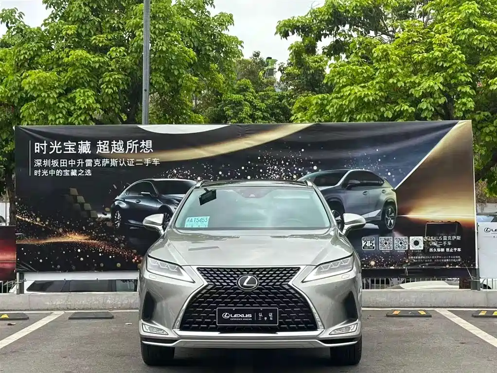 Lexus RX 2020 300 AWD Elegance Edition China V фото 2