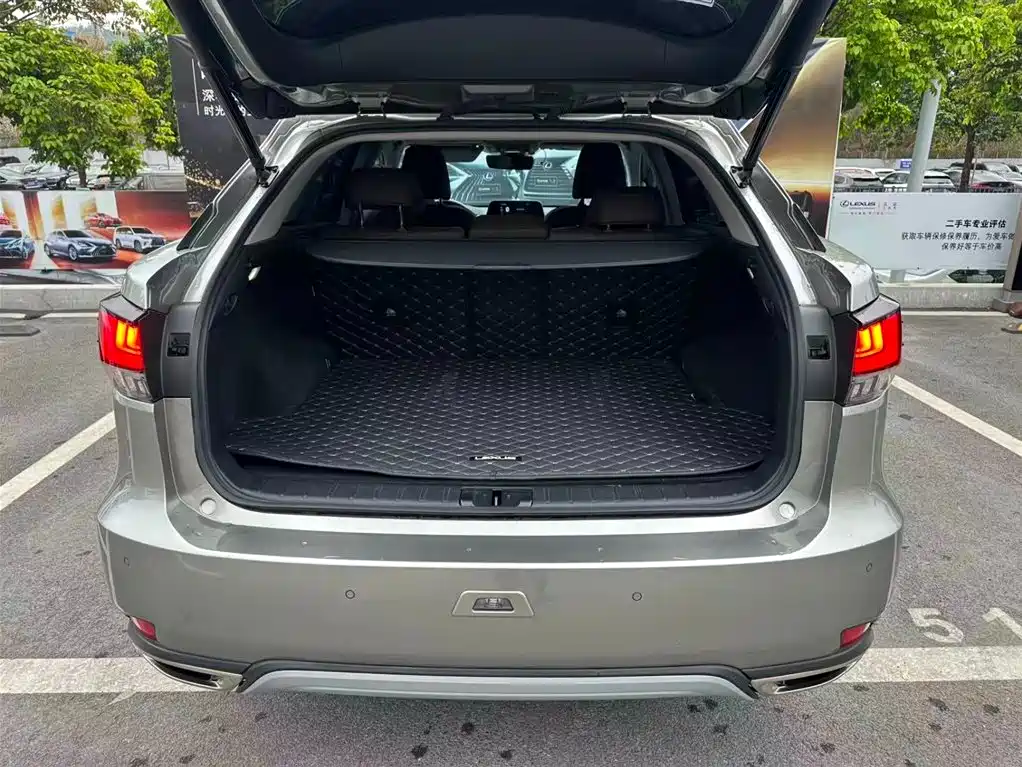 Lexus RX 2020 300 AWD Elegance Edition China V фото 12