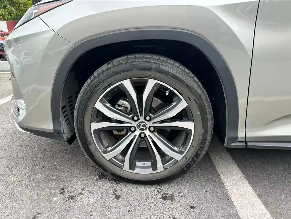 Lexus RX 2020 300 AWD Elegance Edition China V фото 9