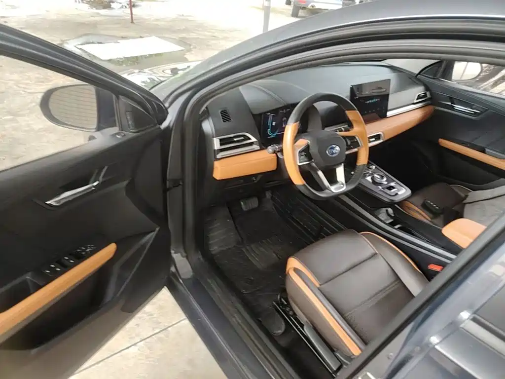 BYD e2 2021 2020 Upgraded Long Range Luxury