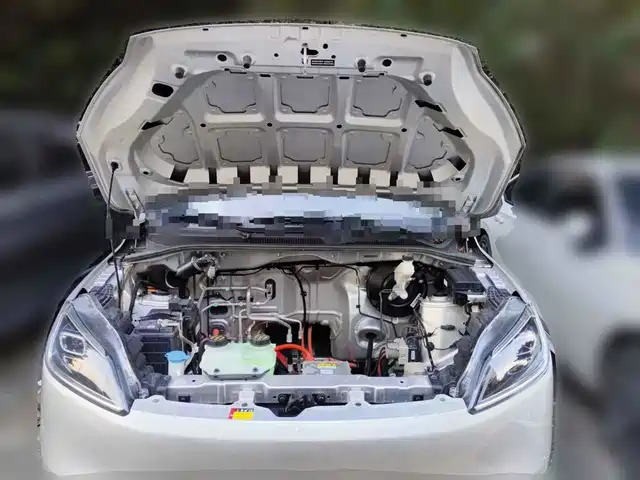Wuling Motors Wuling Hongguang New Energy 2024 Pure Electric 300KM Standard — фото 3