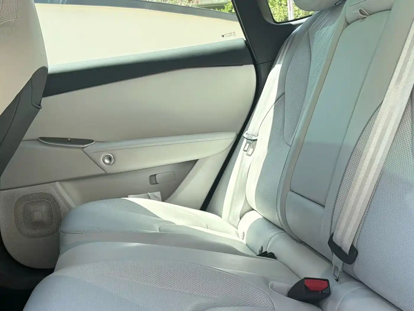 ARCFOX EXTREME FOX POLAR FOX ALPHA S5