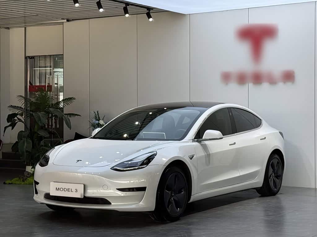 Tesla Model 3 (Import)