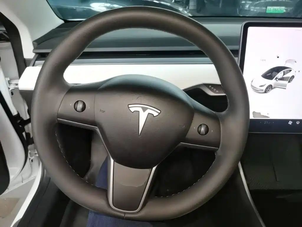 Tesla Model 3 (Import) 2020 2019 Standard Range RWD Upgraded Edition