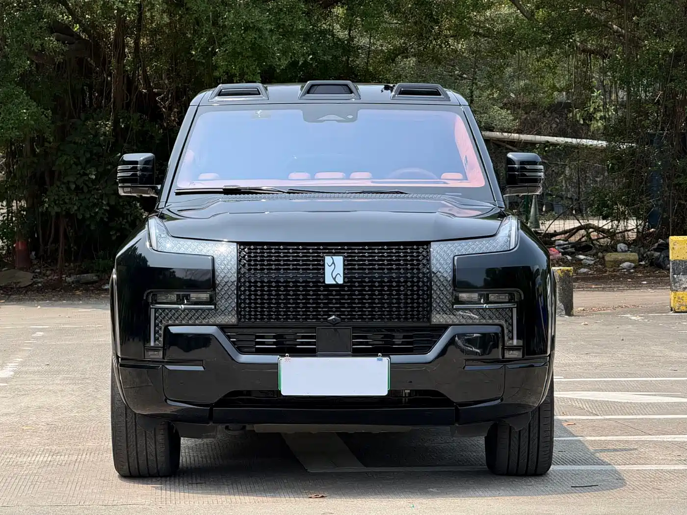 Yangwang U8 2023 Luxury Edition