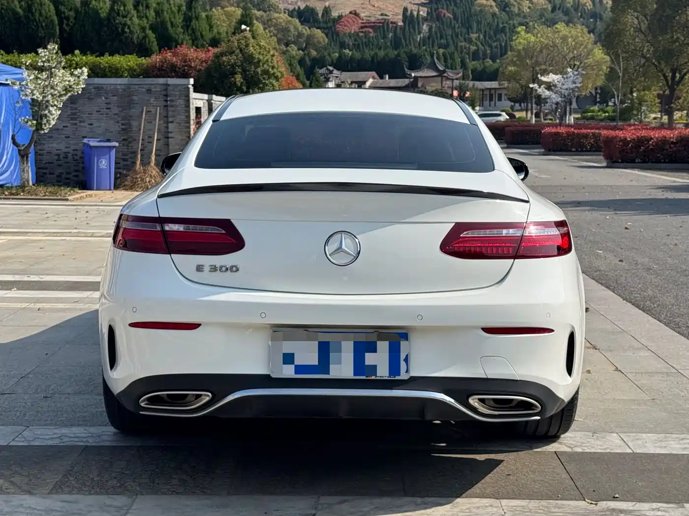 Mercedes-Benz E-Class (Import) 2018 E 300 Coupe фото 11