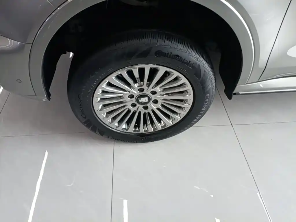 Tank 500 EV 2025 2024 Hi4-T