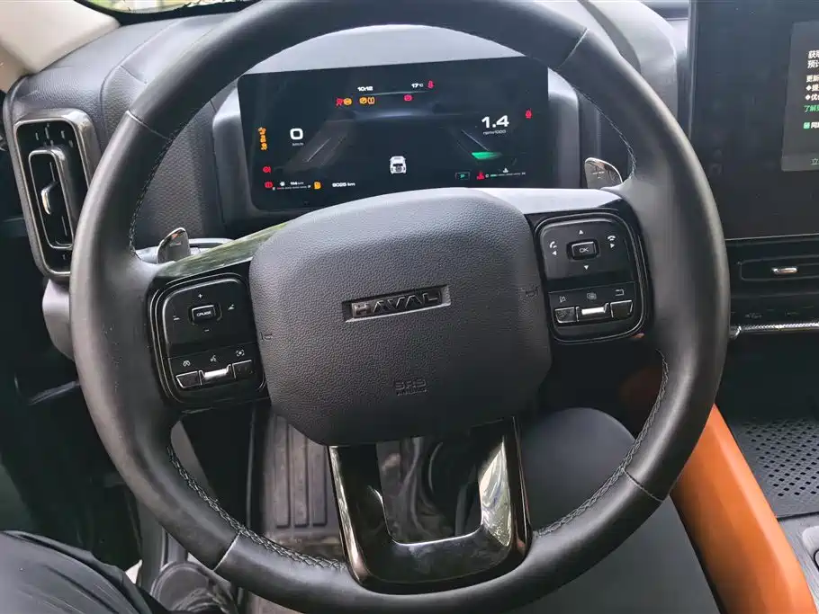 Haval H9 2024 2.0T Gasoline AWD Extreme Edition фото 15