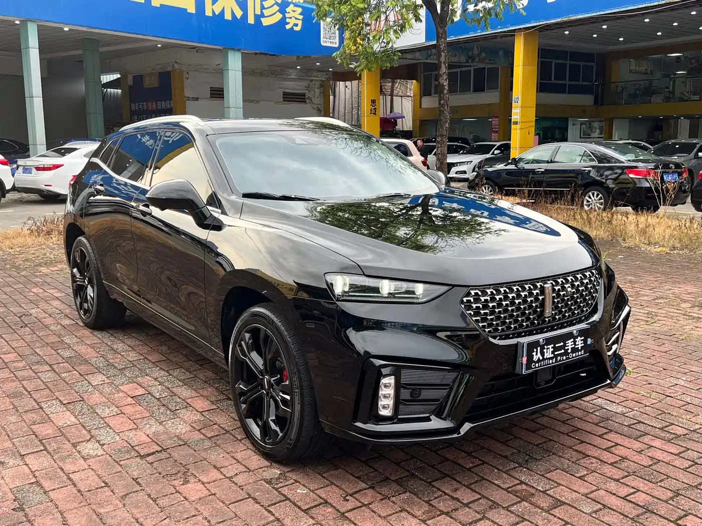 2021 WEY VV7