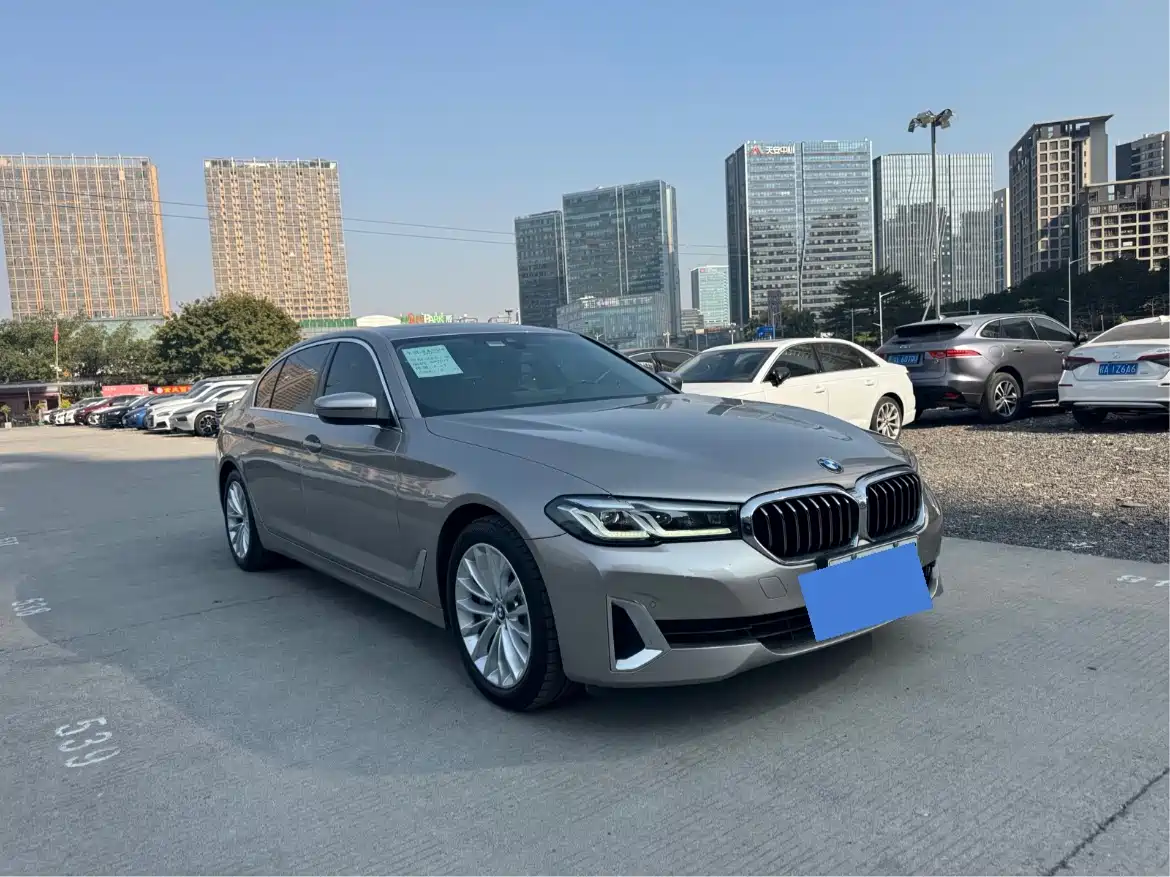 BMW 5 SERIES NEW ENERGY