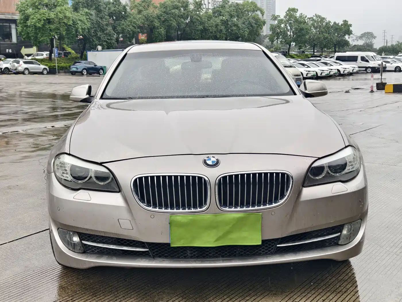 BMW 5 Series 2013 525Li Luxury фото 8