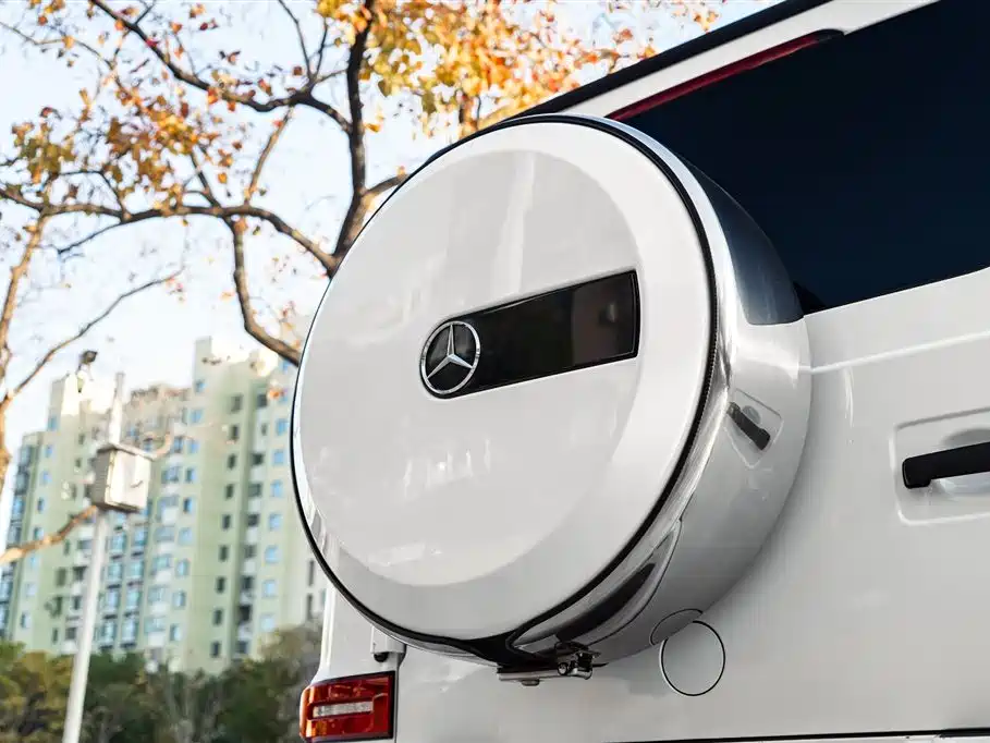 Mercedes-Benz G-Class 2023 G 350 фото 12