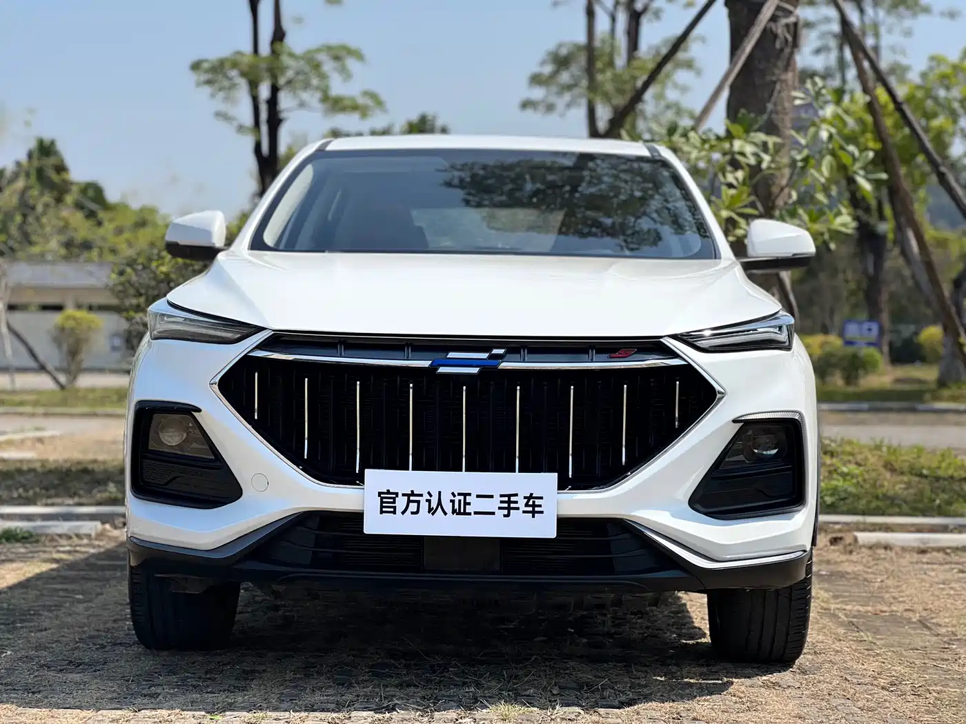 Фото 2 - Changan Oshan Changan Oushang X5