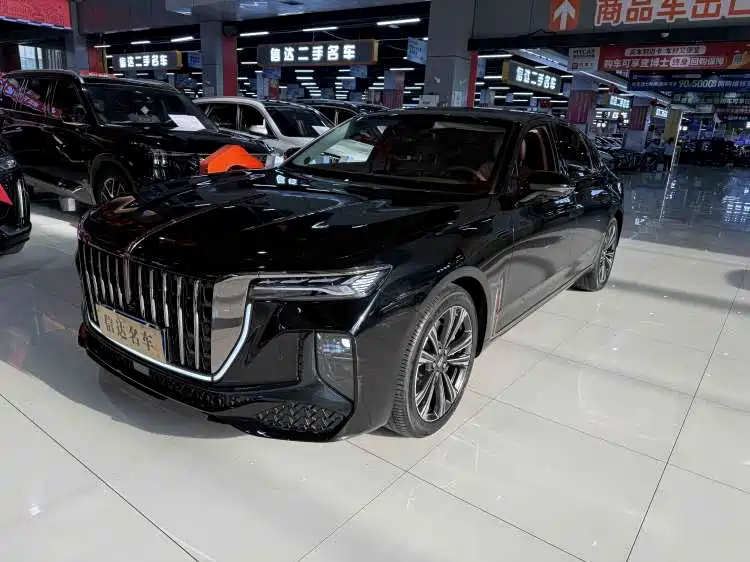 Hongqi H9 2024 2.0T Qi Enjoy Private Fashion Edition