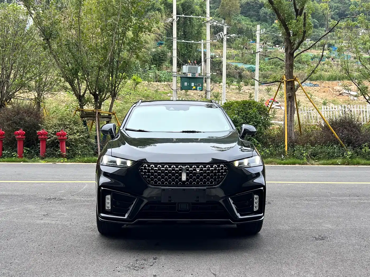WEY VV7 2020 2020 Model 2.0T Flagship