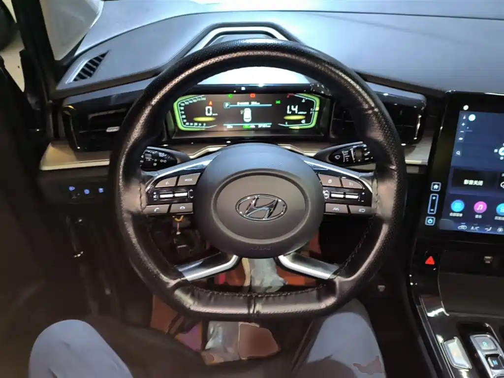 Hyundai Kustu 2021 270TGDi Premium LUX фото 11