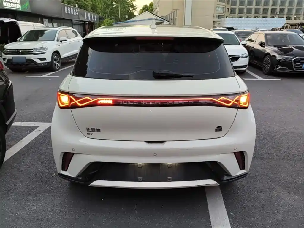 BYD Dolphin 2023 420km Fashion Edition фото 6