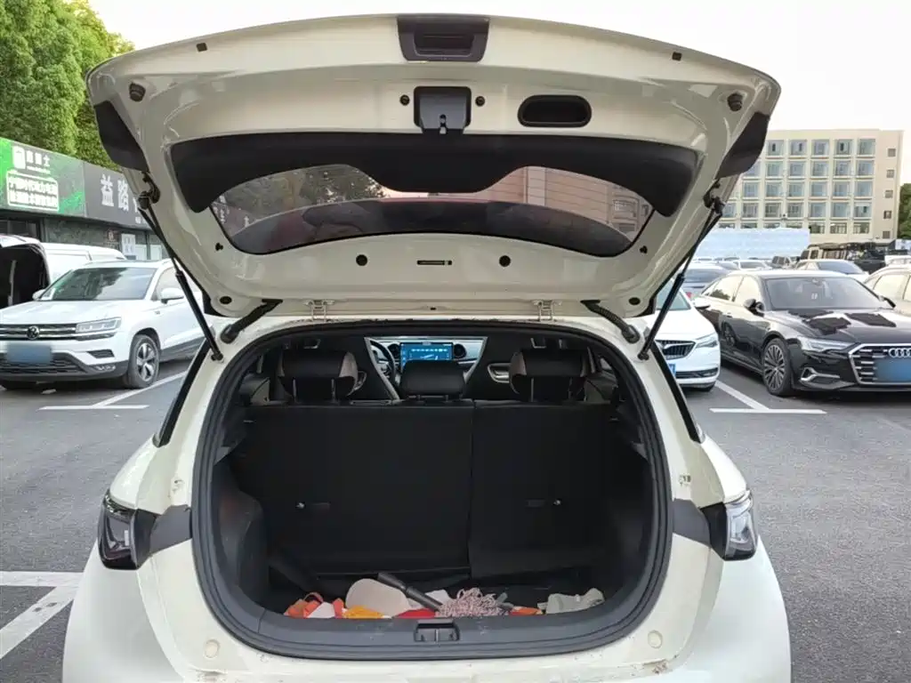 BYD Dolphin 2023 420km Fashion Edition фото 19