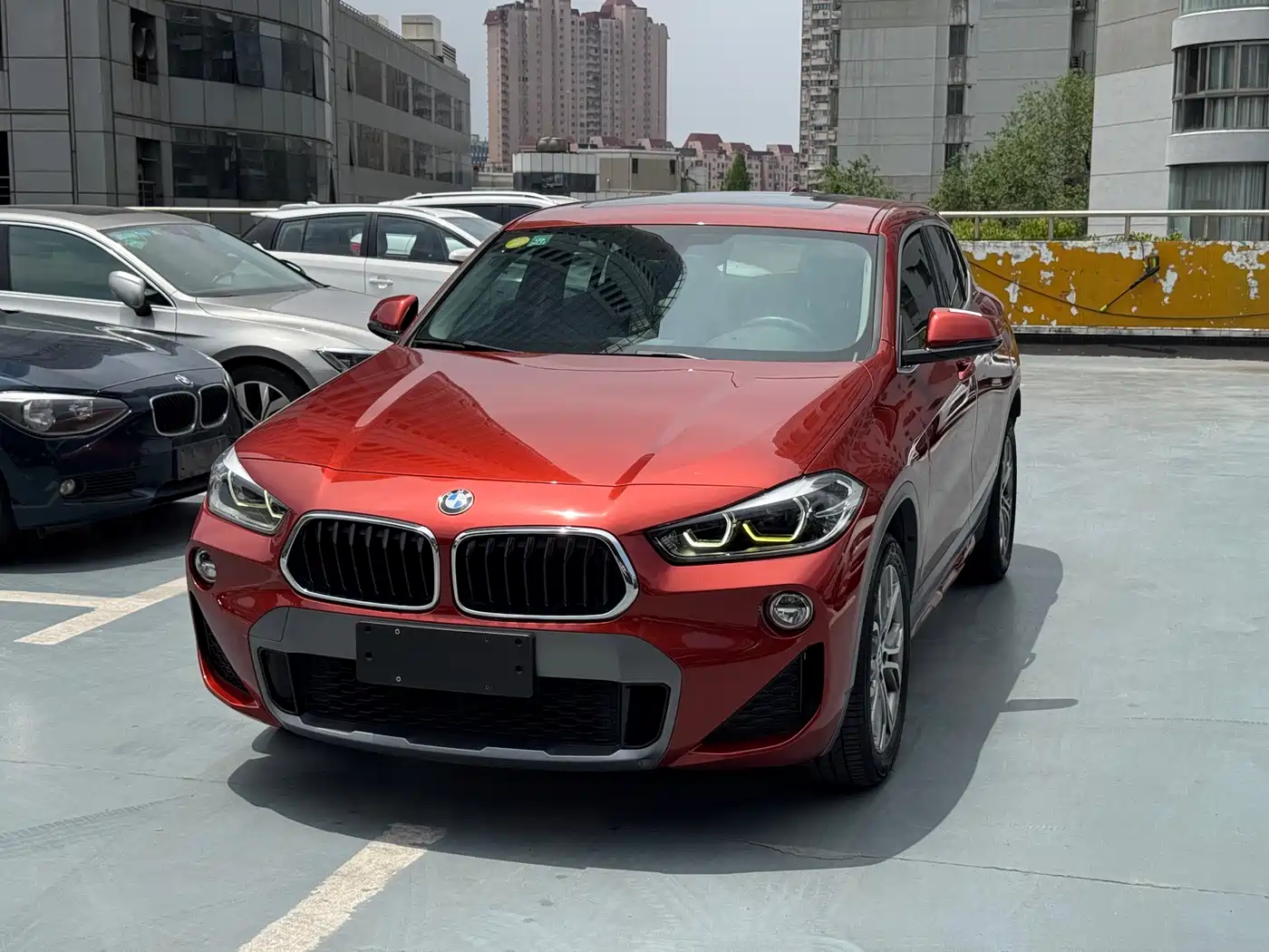 BMW X2 (Import) 2018 sDrive25i Leading M Off-road Package China V фото 2