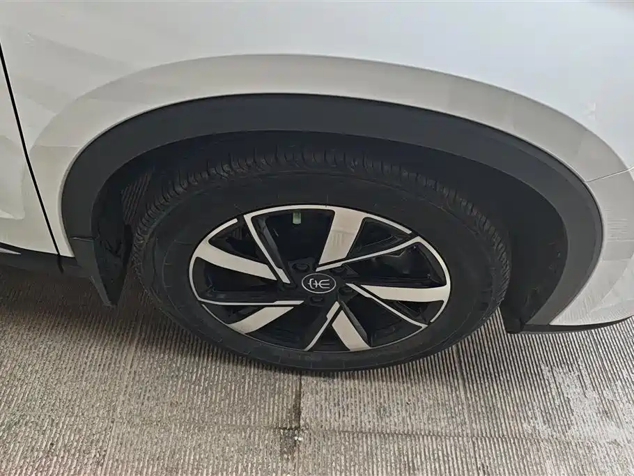 BYD SONGJIANG NEW ENERGY