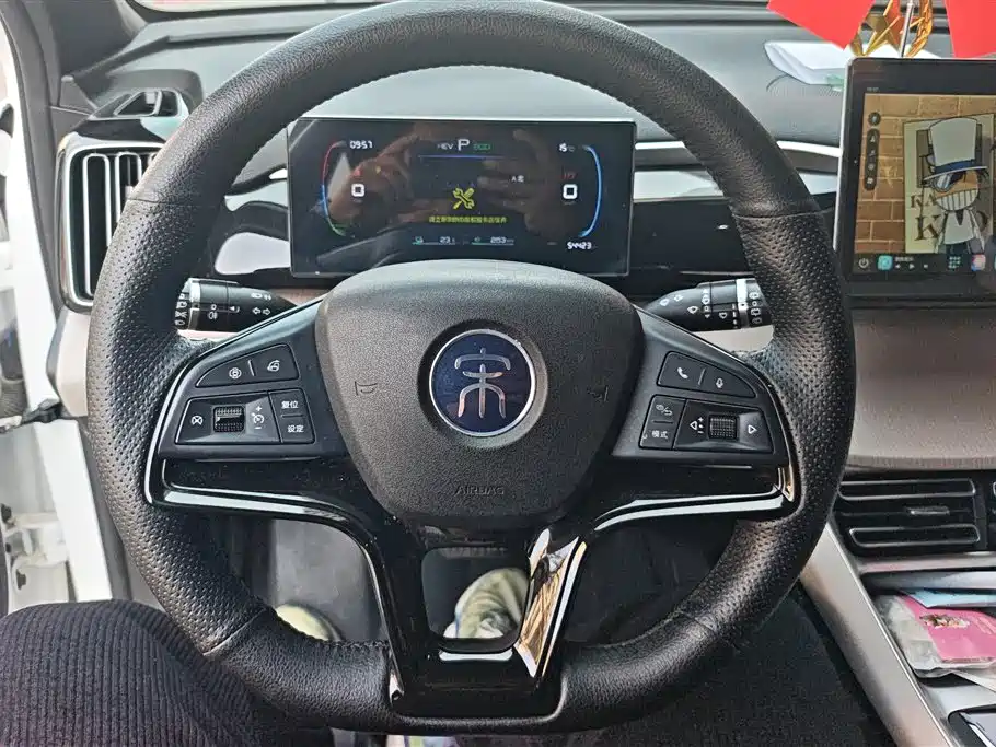 BYD SONGJIANG NEW ENERGY