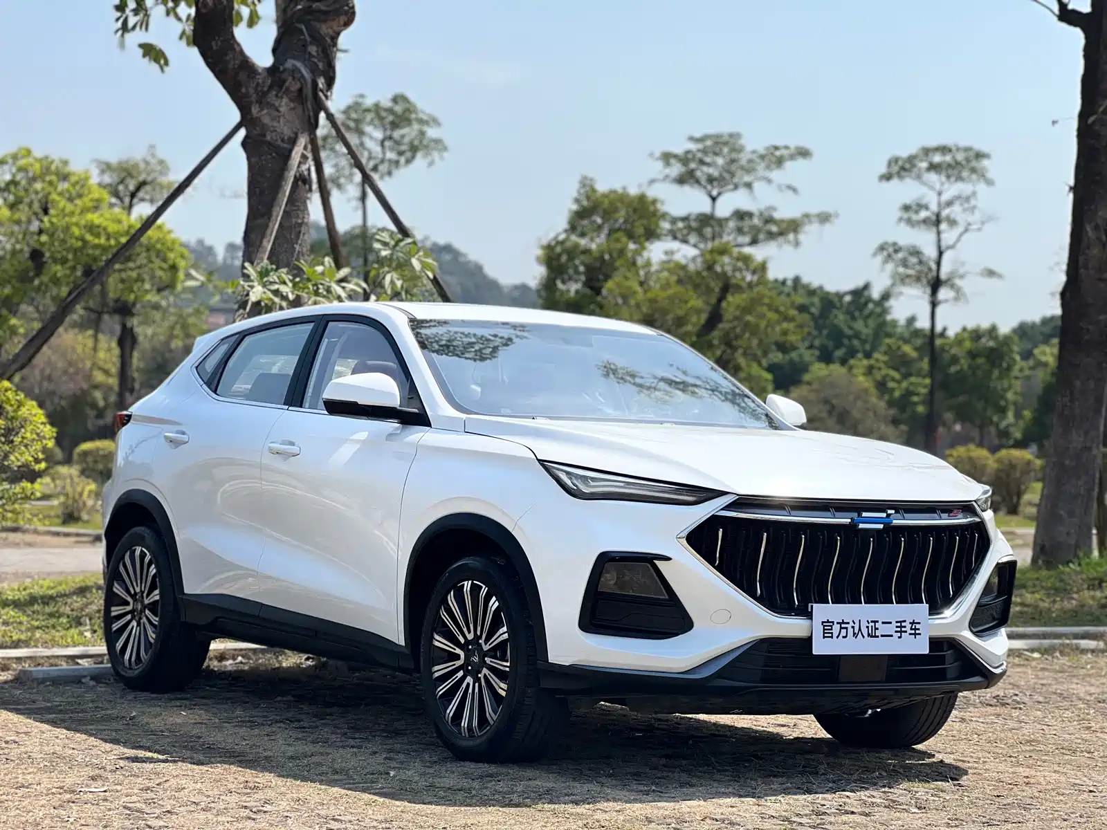Фото 3 - Changan Oshan Changan Oushang X5