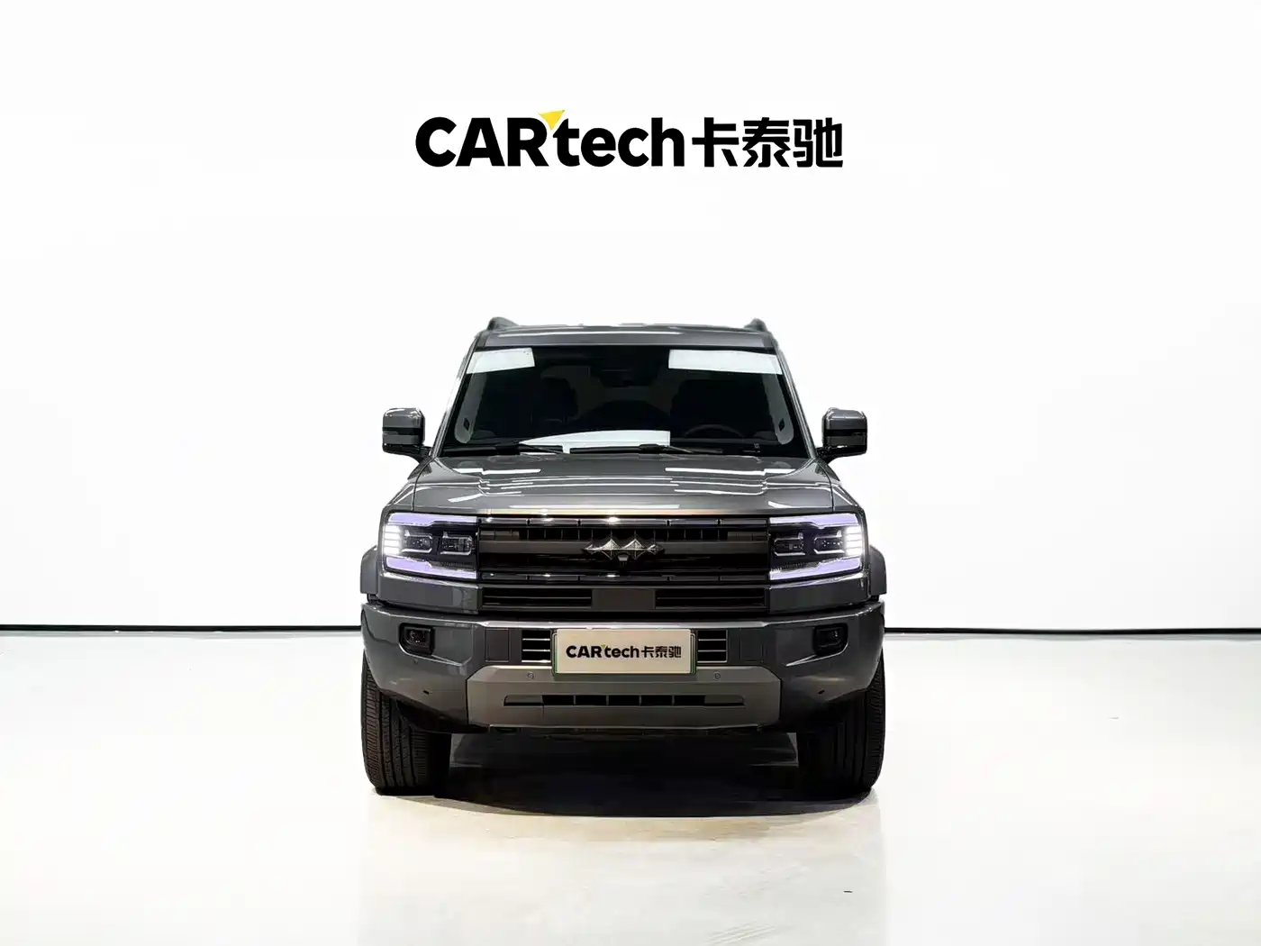 FANG CHENG BAO LEOPARD 5