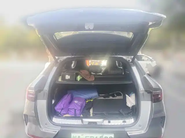 BYD Song PLUS PHEV 2021 DM-i 110KM Flagship — фото 5