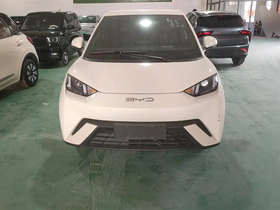 BYD Seagull 2023 Vitality Edition фото 2