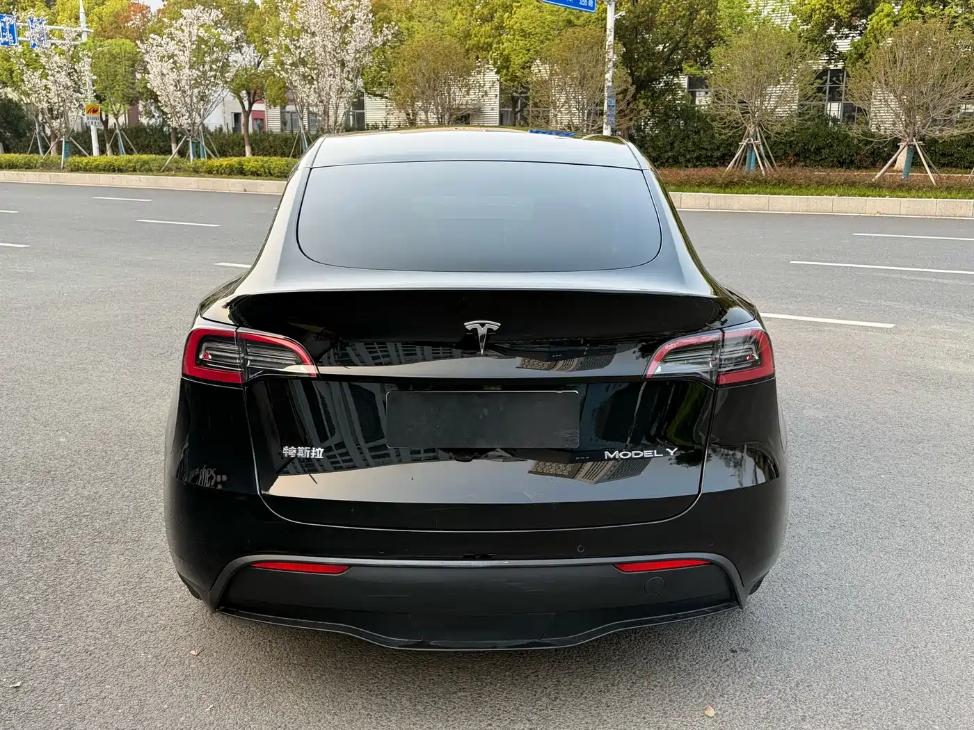 TESLA MODEL Y