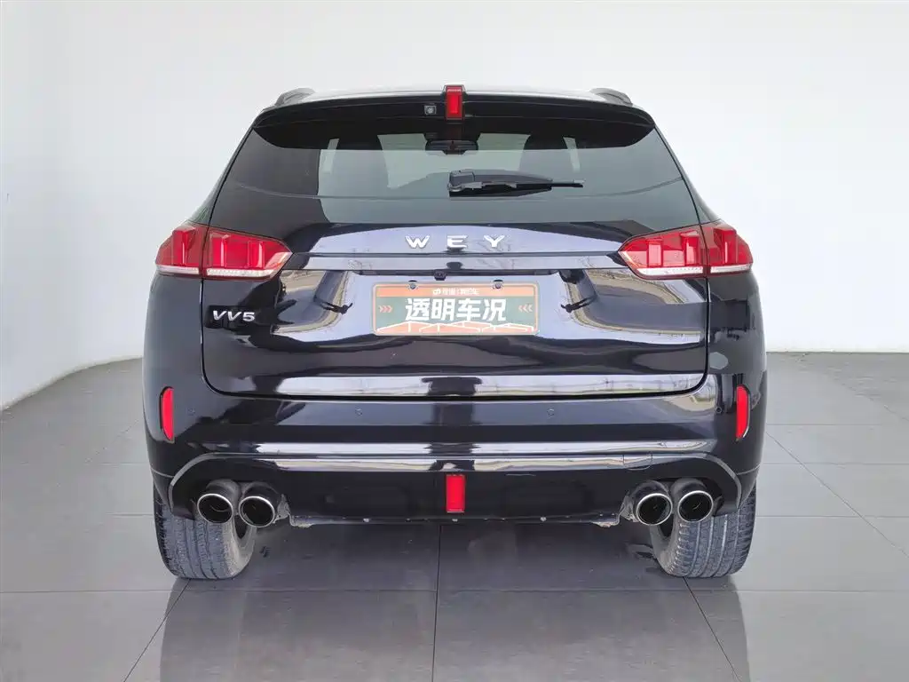 WEI PAI WEI BRAND VV5