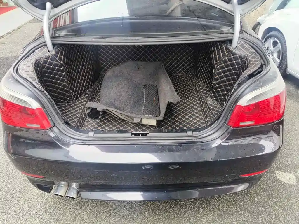 BMW 5 Series 2007 2007 523Li Elegance