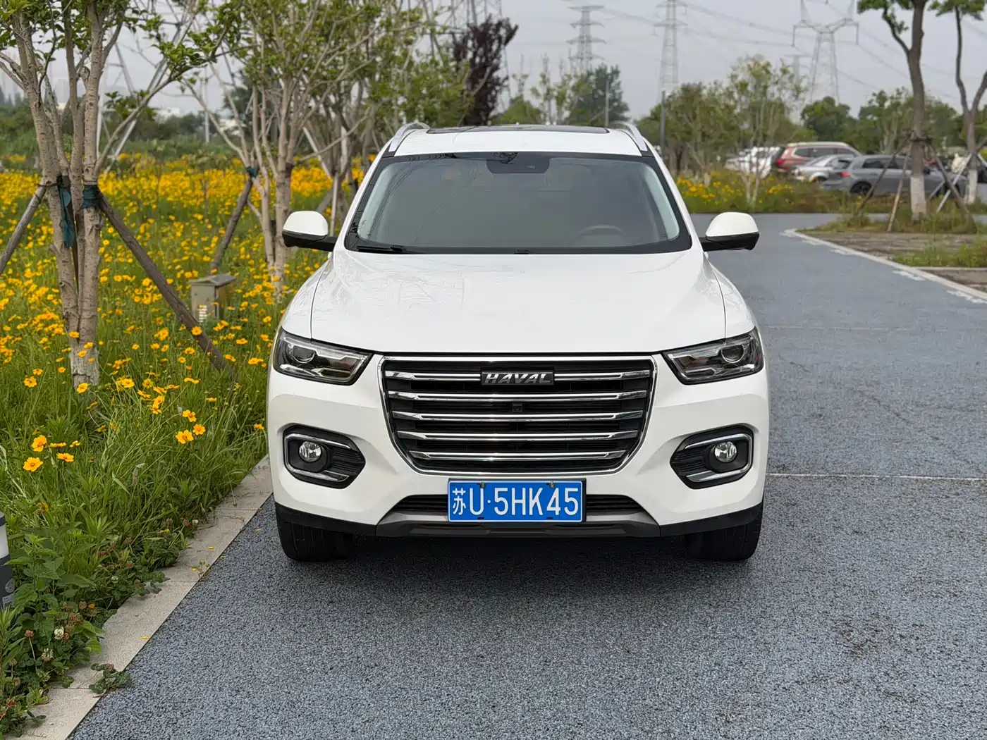 Haval H6 2020 1.5GDIT Automatic Platinum Champion Edition фото 2