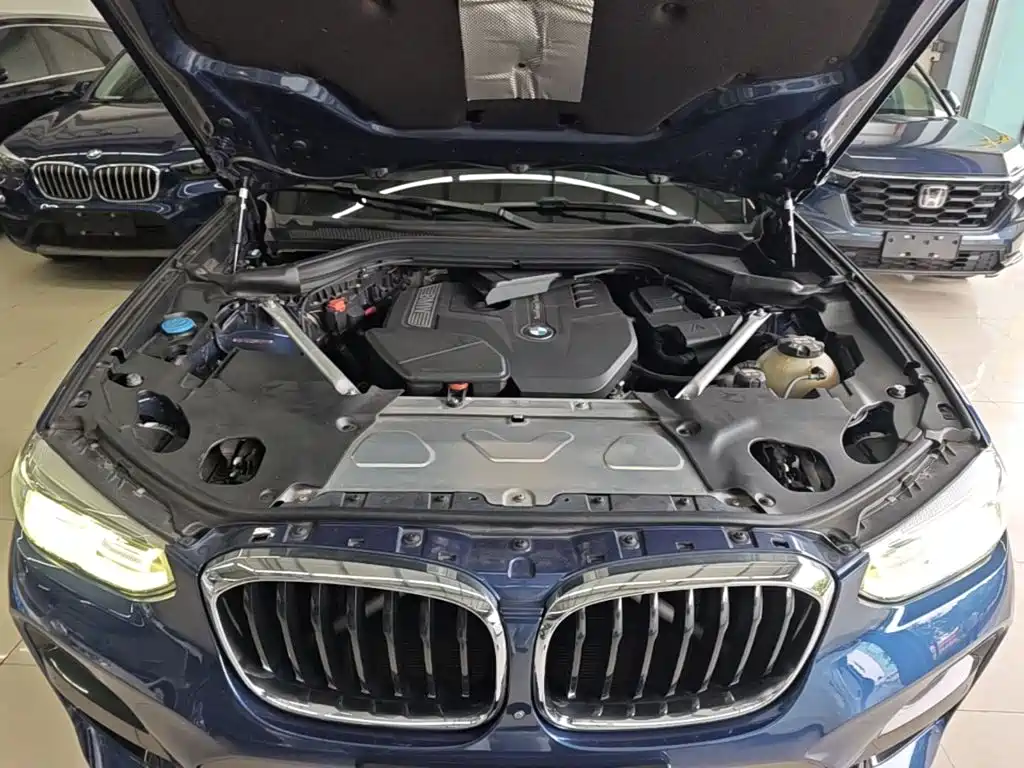 BMW X3 2018 2018 xDrive30i Leading M Sport Package China V