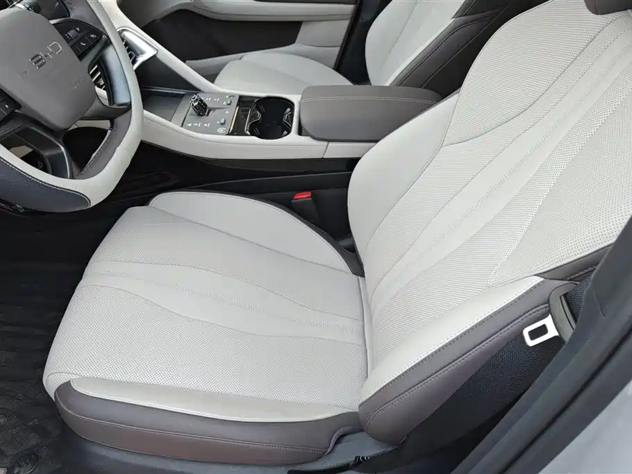 BYD SONGJIANG NEW ENERGY