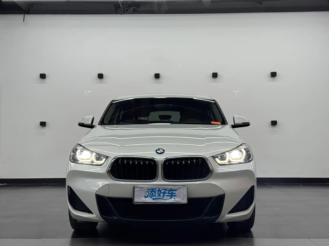 BMW X2 2021 sDrive25i Leading M Sport Package фото 2