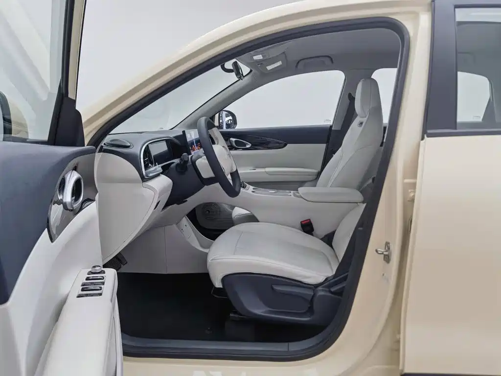 Geely Galaxy Starry Wish 2025 2025 310km Youth Edition