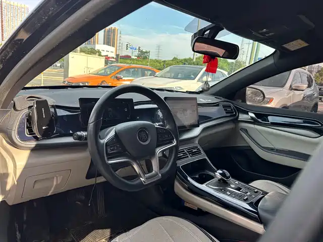 BYD Qin PLUS 2023 Champion Edition EV 510KM Leading Type — фото 4