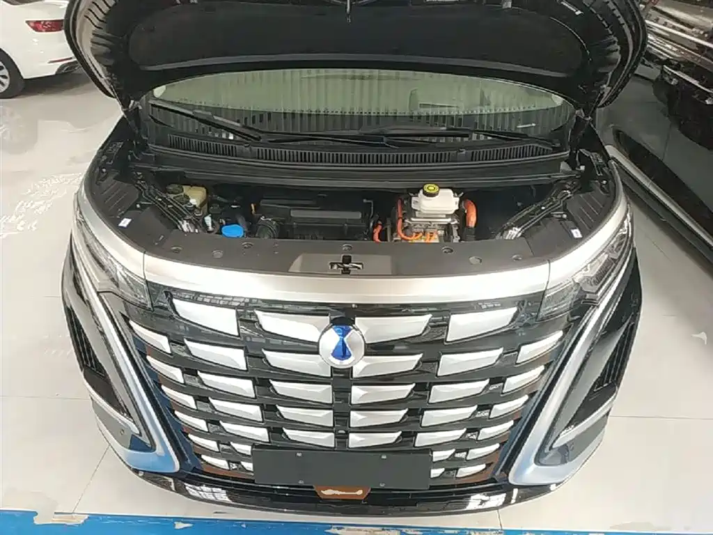 Denza D9 2022 DM-i 970 AWD Flagship фото 20